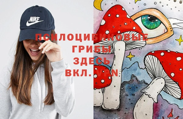 эйфоретик Киреевск