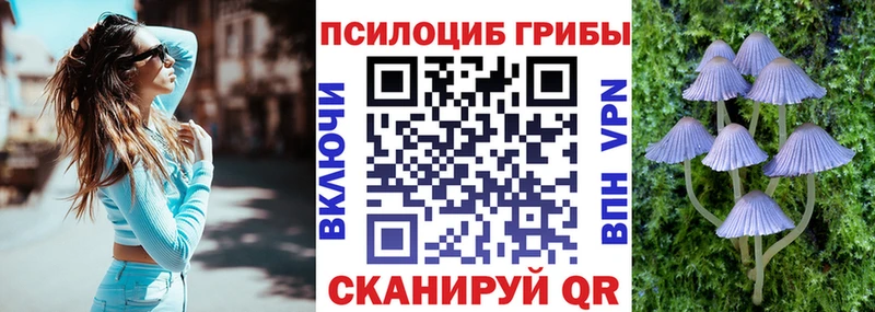 Галлюциногенные грибы ЛСД кракен ТОР Переславль-Залесский