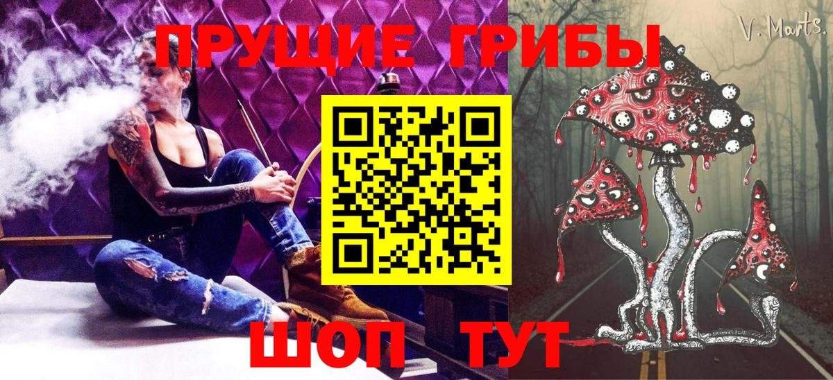 Галлюциногенные грибы MAGIC MUSHROOMS  Вход с VPN  Переславль-Залесский 